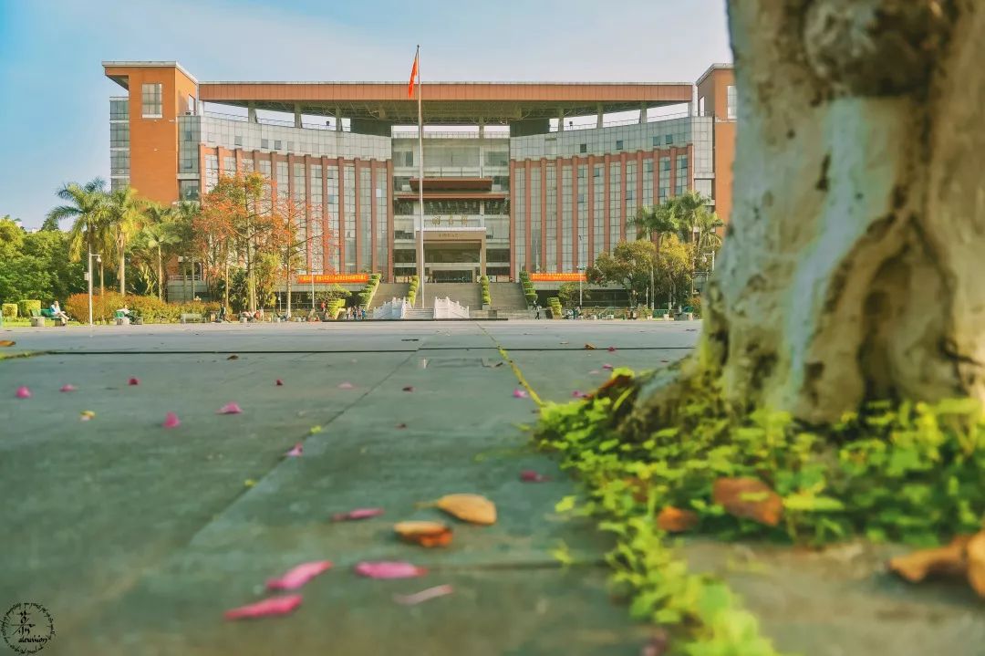 暨南大学教育学院文凭