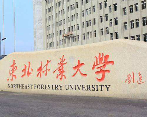 东北林业大学研究生院